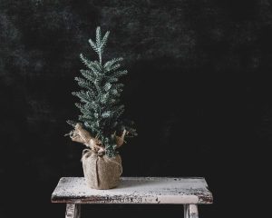 vianočný stromček